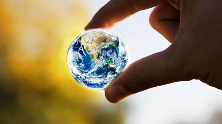 A insensatez humana