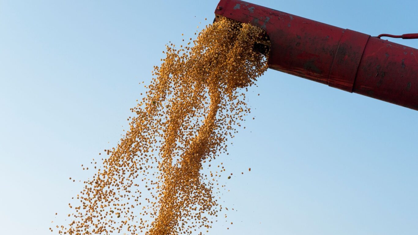 Safra recorde de grãos em 202122 supera 271 milhões de toneladas