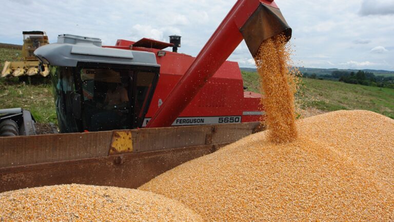 Congresso Nacional de Milho e Sorgo trará debates sobre o agronegócio brasileiro