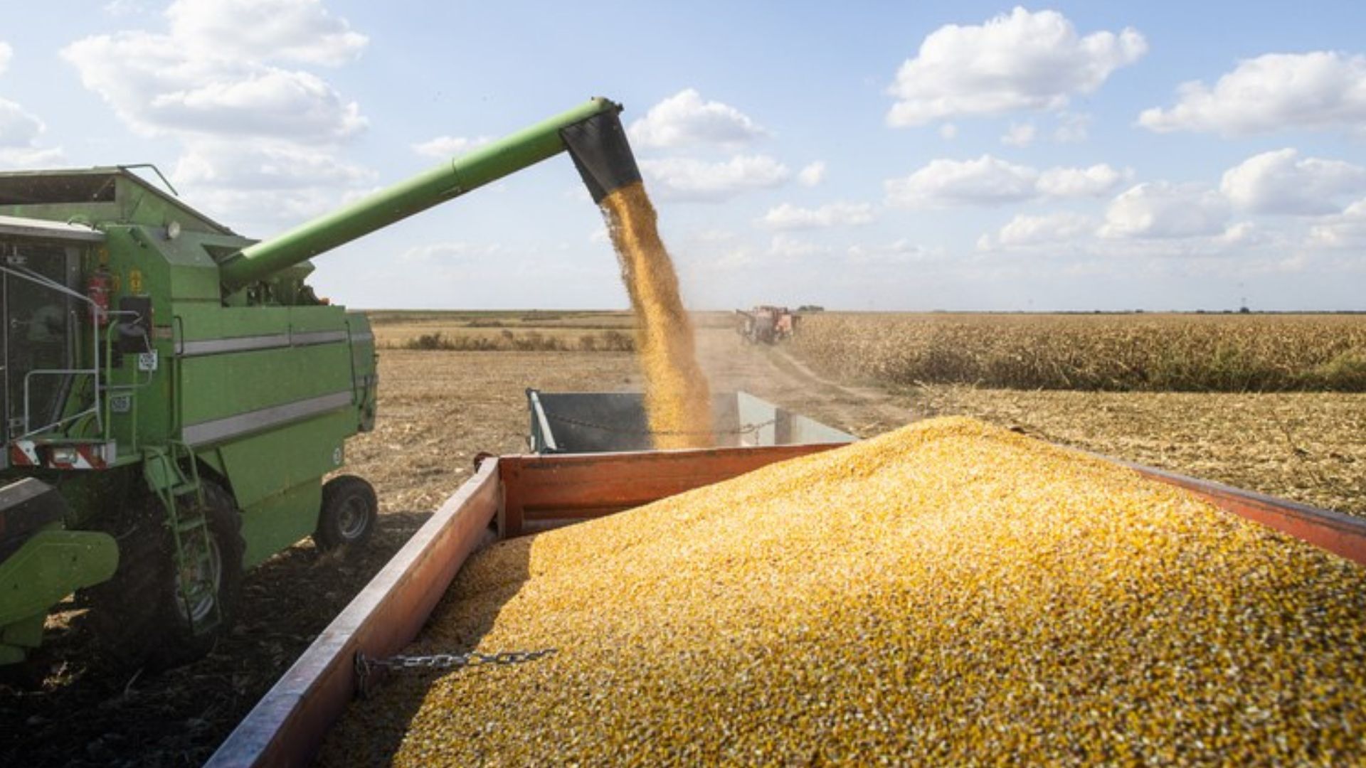 Produção de grãos é estimada em 272,5 milhões de toneladas para as culturas de 2ª safra