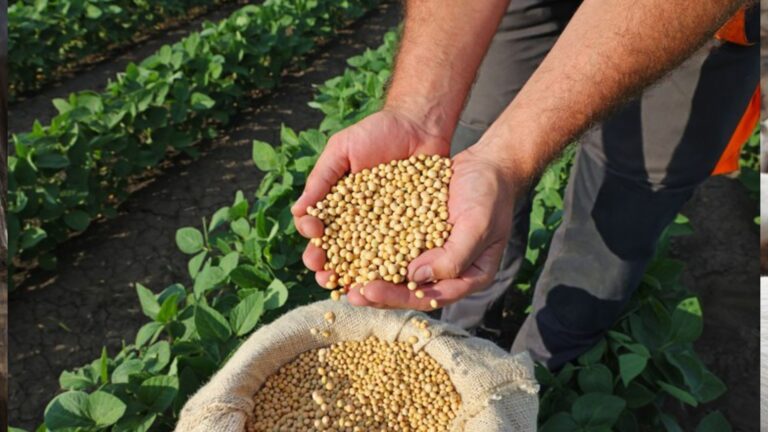 Selo Biocombustível Social promove a capacitação de agricultores familiares