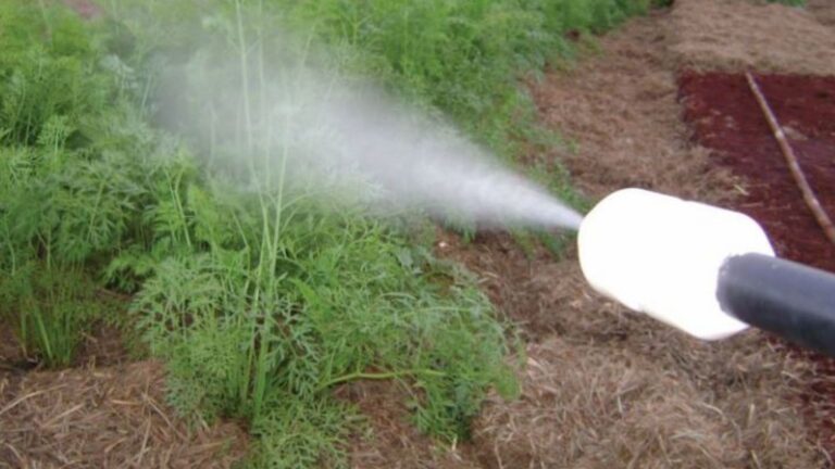 Bico de pulverização eletrostática desenvolvido na Embrapa Meio Ambiente é patenteado