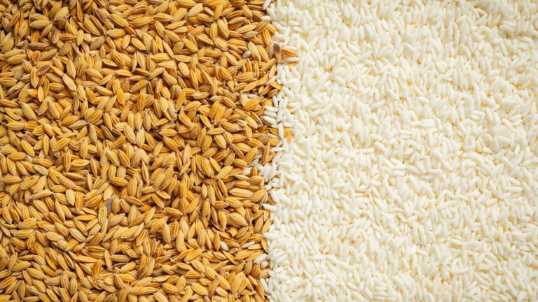 Entidades do arroz querem alteração no regime do ICMS gaúcho