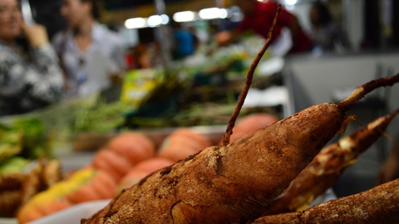 Mais de 85% de frutas e olerícolas da Ceasa/MS são importados de estados vizinhos Mais de 85% de frutas e olerícolas da Ceasa/MS são importados de estados vizinhos