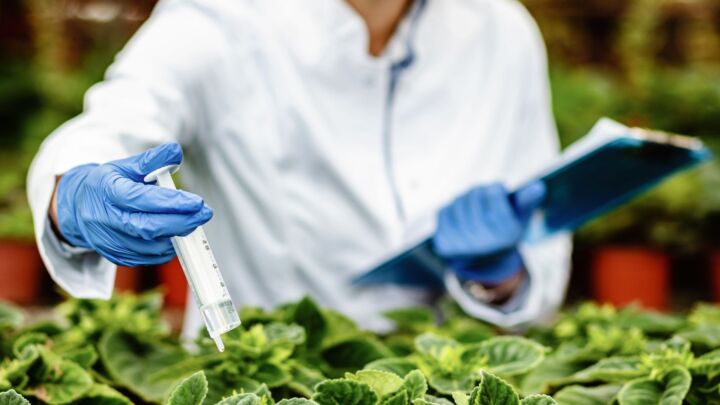 Mapa registra 50 defensivos agrícolas formulados, entre eles, biológicos