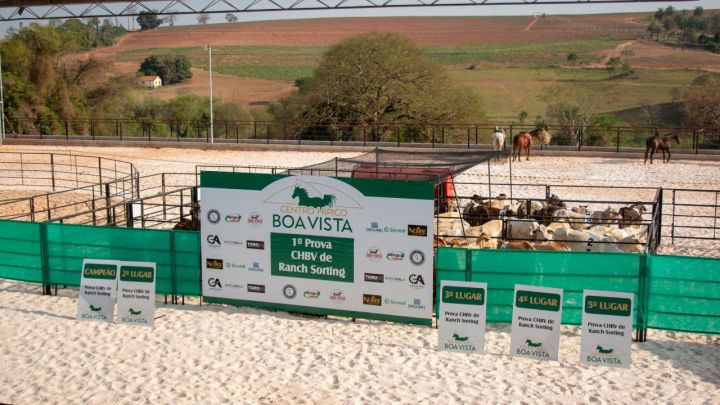 1ª Prova de Ranch Sorting marca o início das atividades do Centro Hípico Boa Vista1