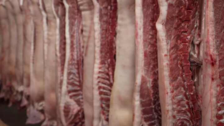 Apreensão de carne suína produzidos na Rússia acende alerta contra Peste Africana