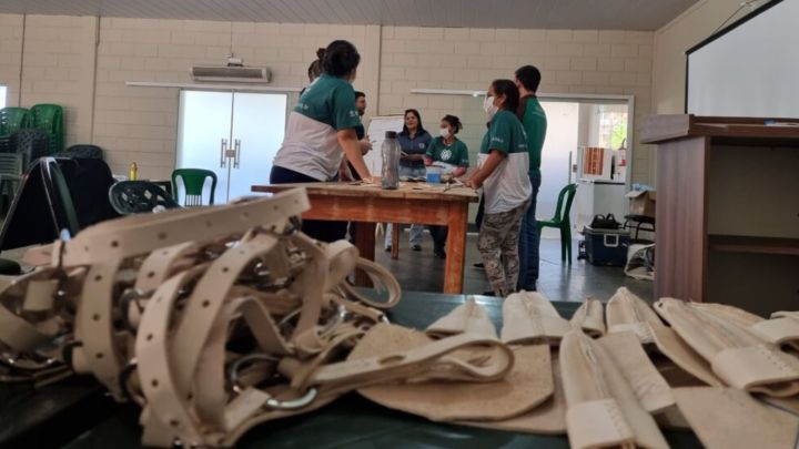Artigos em couro bovino demandam 20 turmas até fim do ano