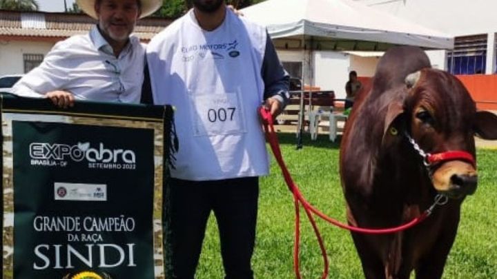 Touro PNAT 2022 é o Grande Campeão na EXPOABRA