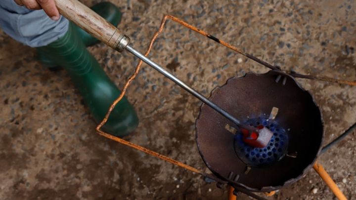 Marca a fogo devem ser registradas por pecuaristas no Indea-MT