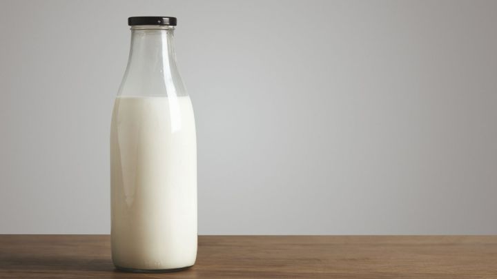 Nomenclatura para produtos plant-based pode ser proibida por ministro Nomenclatura para produtos plant-based pode ser proibida por ministro