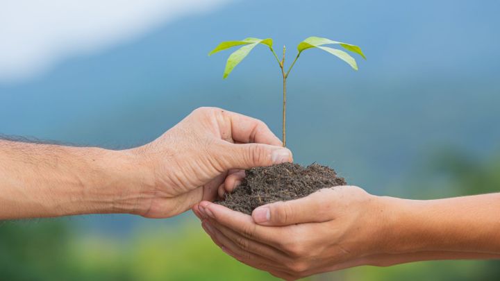 RegularizAgro tem consulta aberta até o dia 19 de outubro