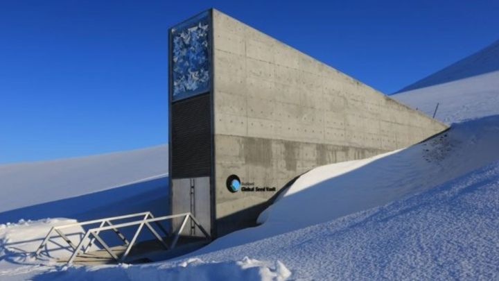 Sementes de pastos brasileiras sao guardadas pela primeira vez na Noruega 1