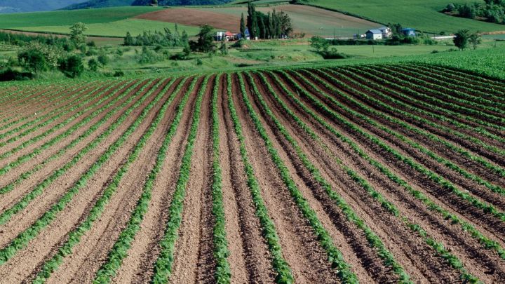 Lei do Agro a Expansão do agronegócio fruto de novos meios de crédito