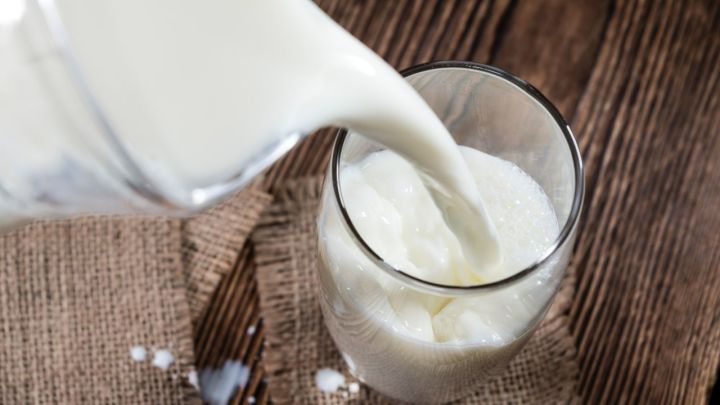 Demanda enfraquecida do leite pressiona até dezembro, mas inversão de tendência pode estar próxima