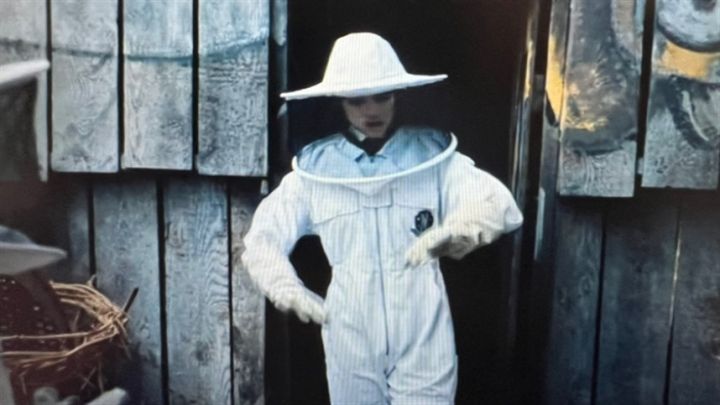 O quê a série Wandinha e as abelhas têm em comum?
