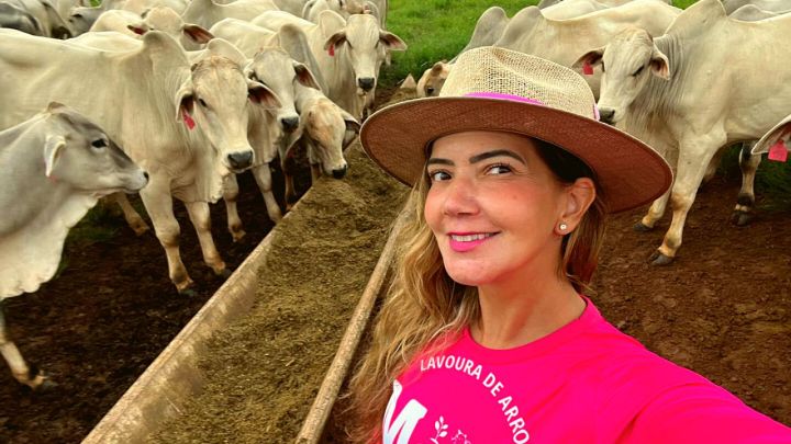 Pecuarista aumentou em seis vezes a taxa de lotação na recria de gado de corte