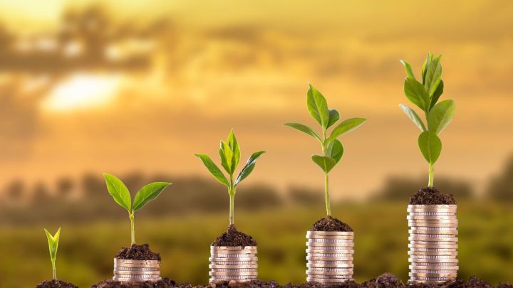 Empreendedorismo, Inovação e Engajamento no Agronegócio