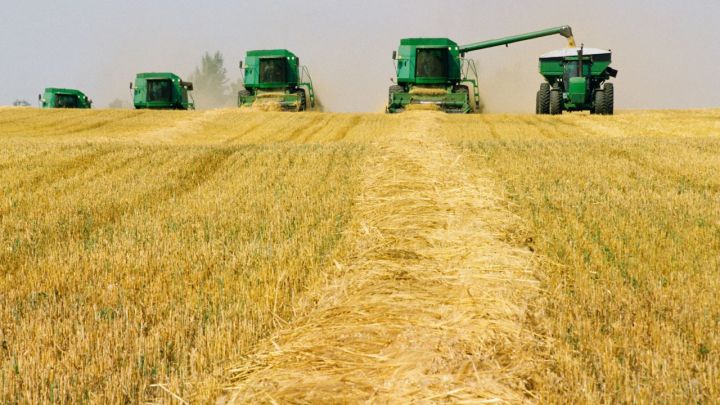 Rússia pode exportar 60 mi t de grãos nesta temporada, diz órgão do setor