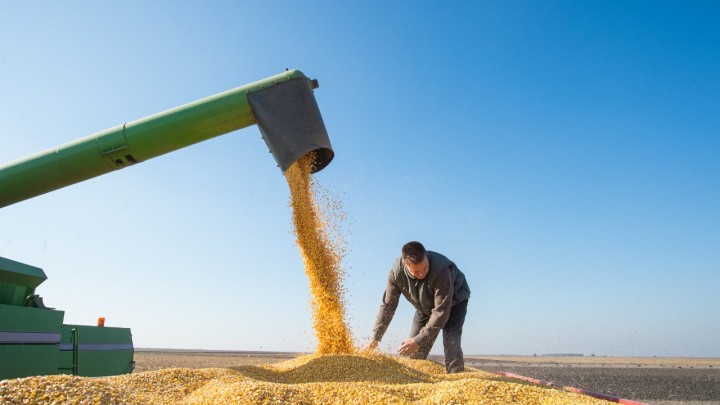 AgRural vê o plantio de soja do Brasil mais atrasado desde 19/20 e riscos em MT