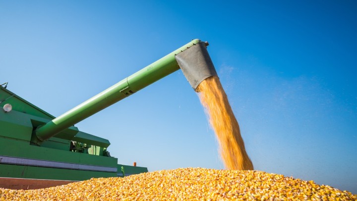 Imea mantém projeção de safra de soja de MT e reduz previsão para milho 2023/24