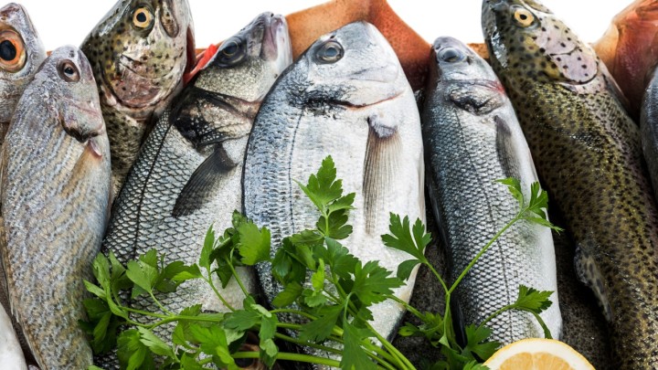 Núcleo de Pesquisa Pescado para Saúde conclui questionário de estudo socioeconômico sobre o consumo de pescado no estado de São Paulo