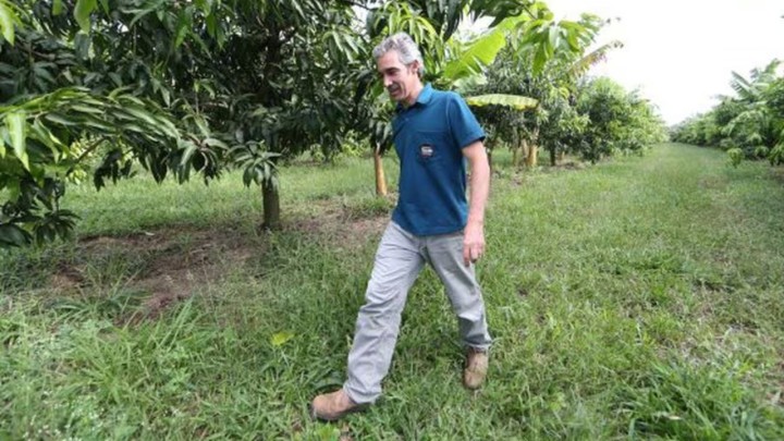 Pedro Paulo, filho de Abílio Diniz, resolveu investir na agricultura orgânica