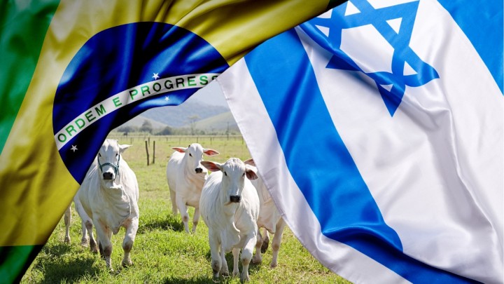 Como a tensão Brasil-Israel ‘respinga’ no agronegócio