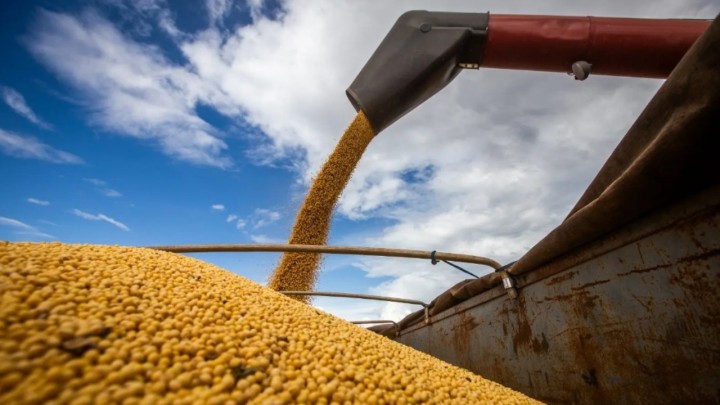 Previsão do USDA vai contra o mercado e mantém estimativa de maior produção de soja no Brasil