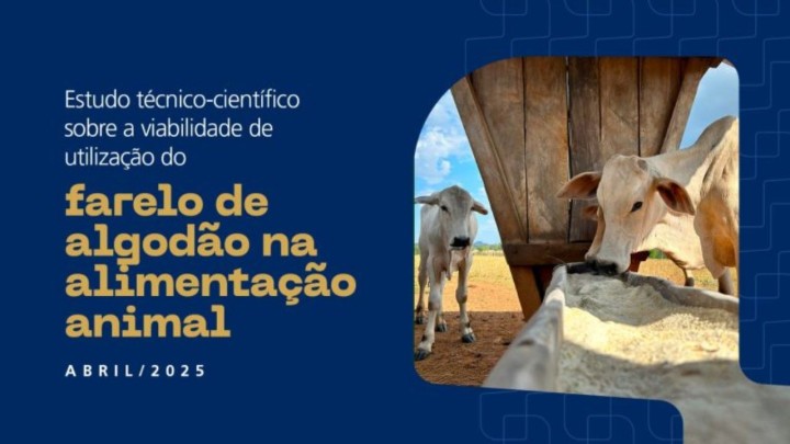 Estudo da Embrapa Algodão comprova viabilidade do uso de farelo e torta de algodão na alimentação animal