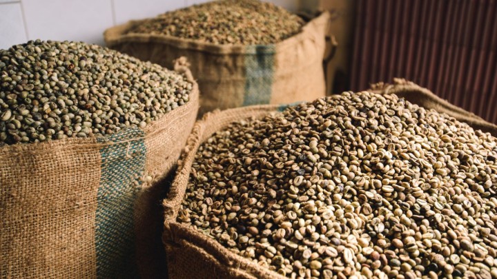 Mesmo na entressafra, Brasil não consegue embarcar 737,7 mil sacas de café em abril