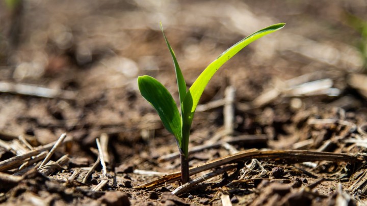 Aprosoja MT considera derrubada de veto fundamental para produção de bioinsumos on farm