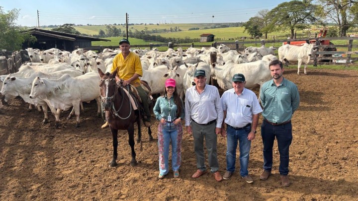 Berço de campeões nelore prioriza produtos Cocamar