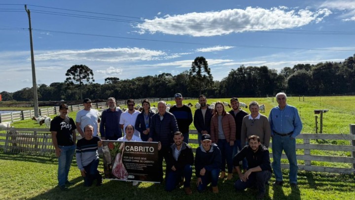 Ovinocultura em alta Iomerê é vitrine da carne de cordeiro em SC