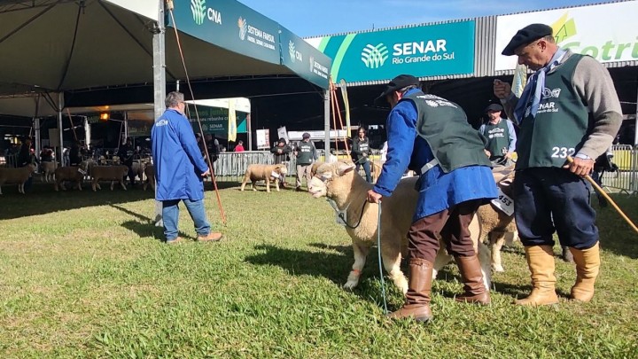 Arco bate marca dos últimos 15 anos em inscritos para a 48ª Expointer