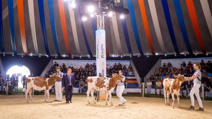 Mais de 550 animais vão participar do julgamento no Agroleite 2025