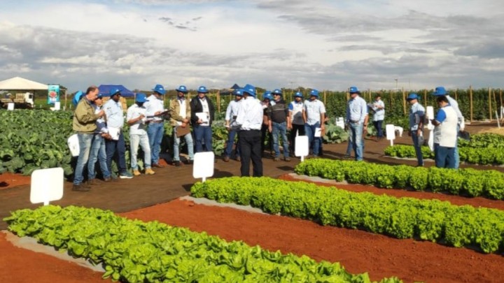 Profissionais da horticultura do Brasil e exterior recebem atualização técnica para fortalecer a produção e o apoio ao produtor