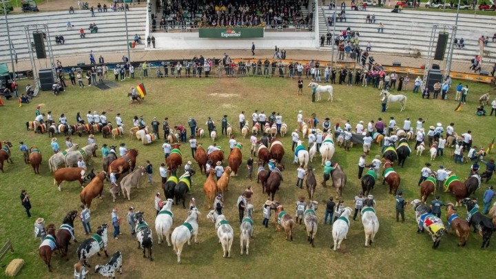 48ª Expointer já tem mais de 5 mil animais inscritos