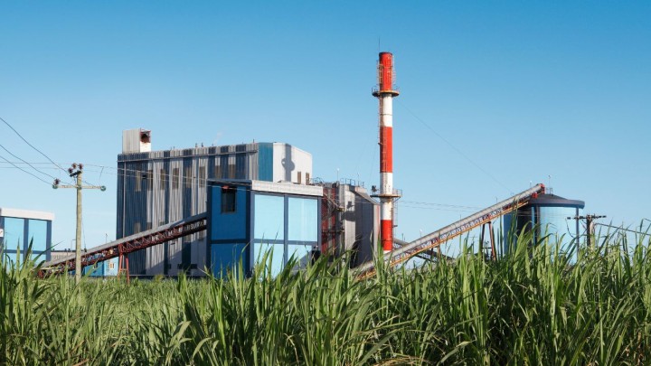 Agroindústria tem o pior mês de junho desde 2019, revela FGVAgro
