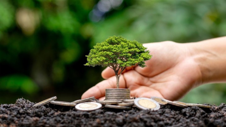 B3 reforça potencial do mercado de capitais para financiamentoe gestão de risco para o agronegócio