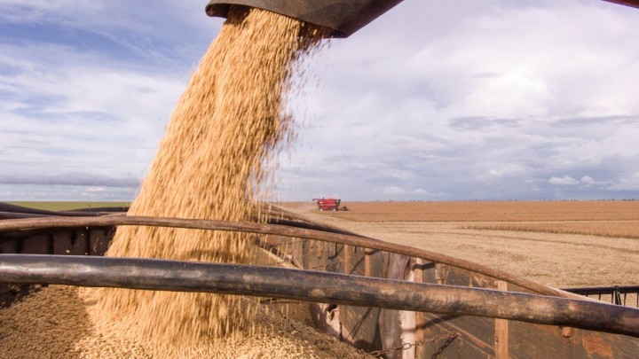 Estado lidera produção de grãos no norte e projeta crescimento recorde para 2025