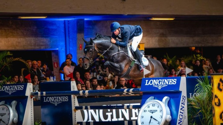 No Longines São Paulo Horse Show, o 35º Indoor da Sociedade Hípica Paulista, a raça Brasileiro de Hipismo é protagonista