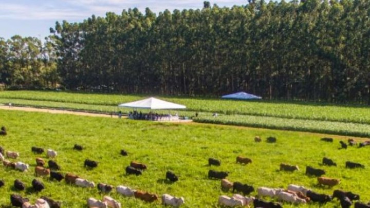 Rede ILPF e Secretaria de Agricultura do Rio de Janeiro assinam acordo para expansão do Sistema Integração-Lavoura-Pecuária-Floresta no estado