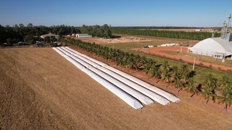 Armazenagem segue como desafio estratégico para os produtores de Mato Grosso