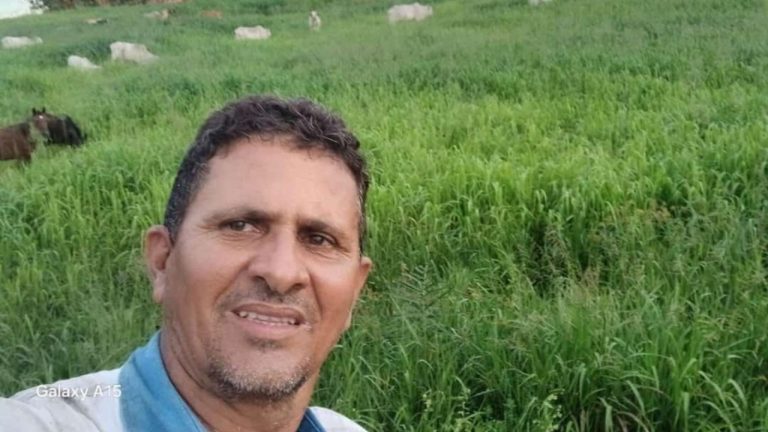 Pequenos pecuaristas apostam em manejo sustentável do pasto e conseguem converter áreas degradadas e ampliar a produção de carne e leite