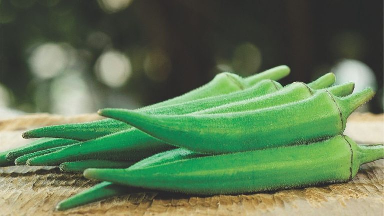 Pequenos produtores também investem em tecnologia para ganhar eficiência no campo