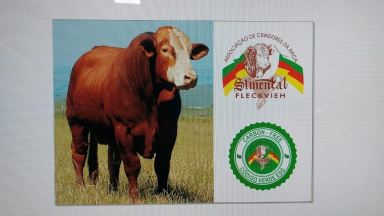 Raça Simental neutraliza emissões de carbono na Expointer