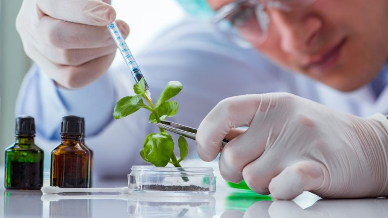 Regulamentação dos bioinsumos: ANPII Bio defende critérios técnicos claros e simplificação dos registros para incentivar inovação e indústria nacional