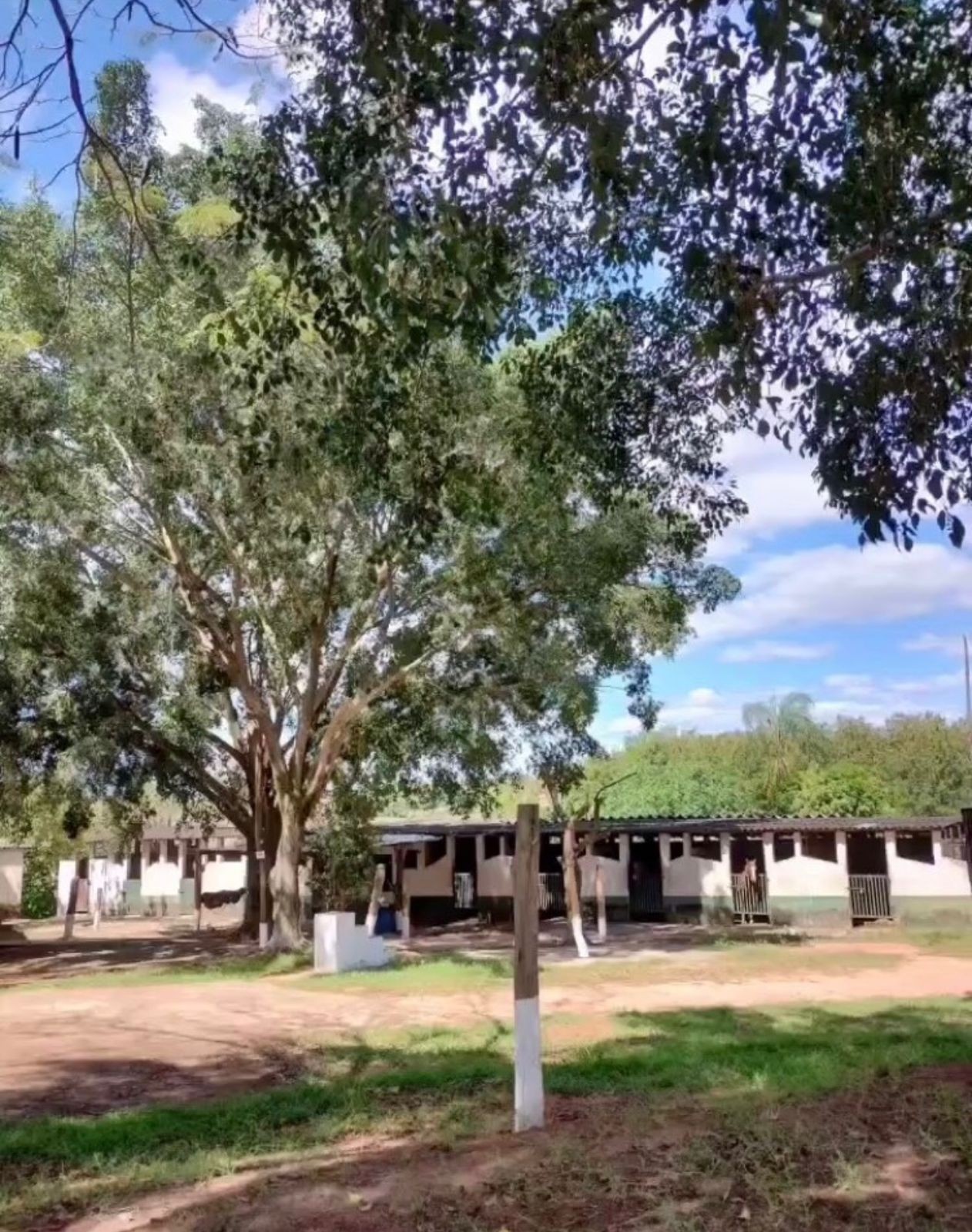RB Ranch: O Templo do Esporte Equestre de Trabalho em Campinas c67656fd 53c2 43cd b703 b5cbd873e9ae