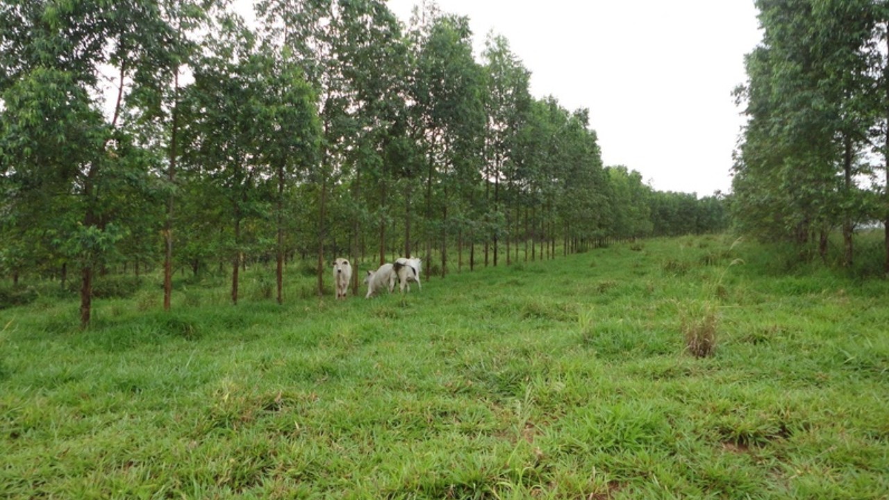 4ª edição do “Apta Portas Abertas” 4ª edição do “Apta Portas Abertas”